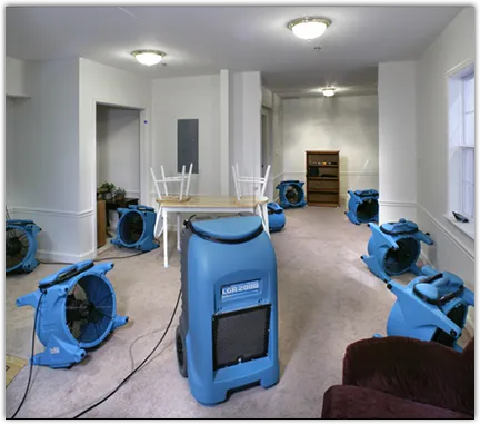 Water Damage Restoration in Flowing Wells, AZ