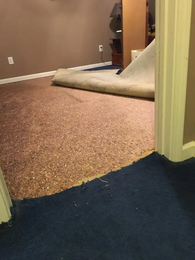 Carpet pad removal revealing water damage during Water Mitigation Services in Flowing Wells