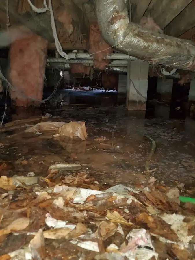 Crawl space flood assessment for Leak Detection & Repair in Flowing Wells