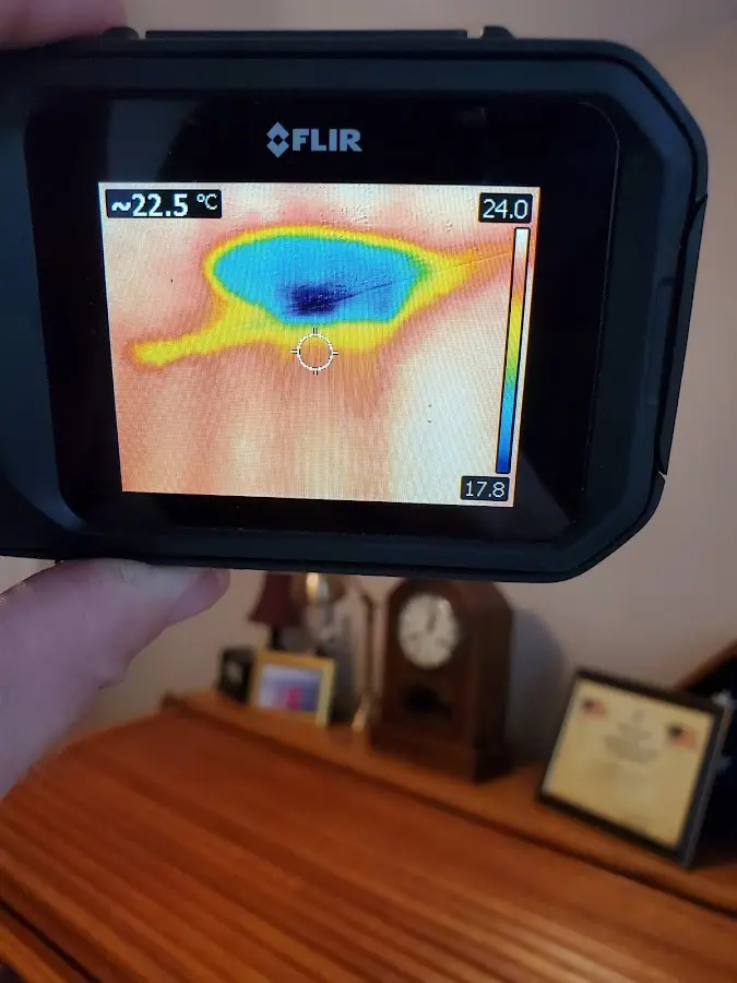 Thermal imaging inspection for water damage in Flowing Wells
